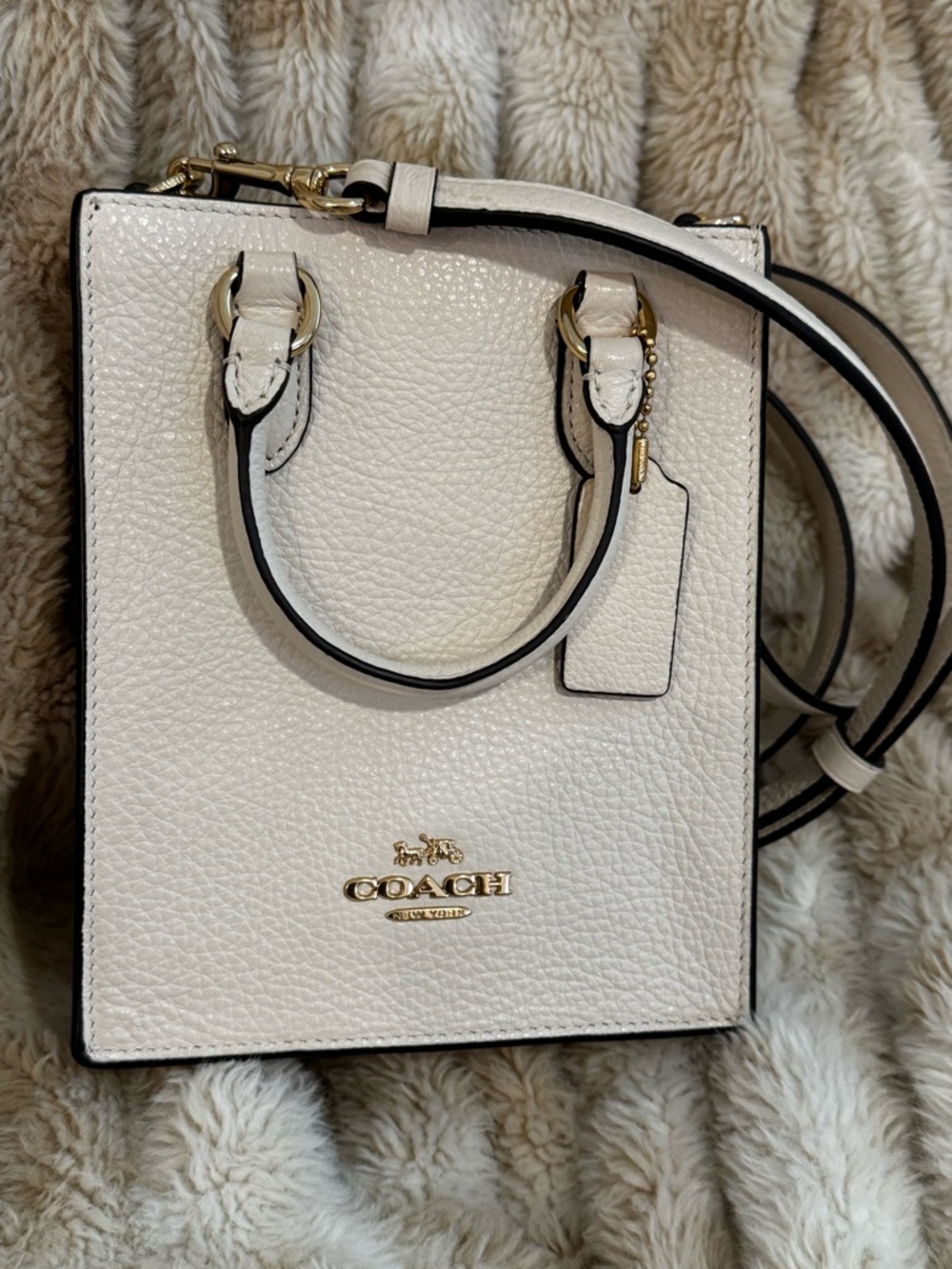 Coach North South Cream Pebbled Leather Mini Tote - Picture 2 of 8